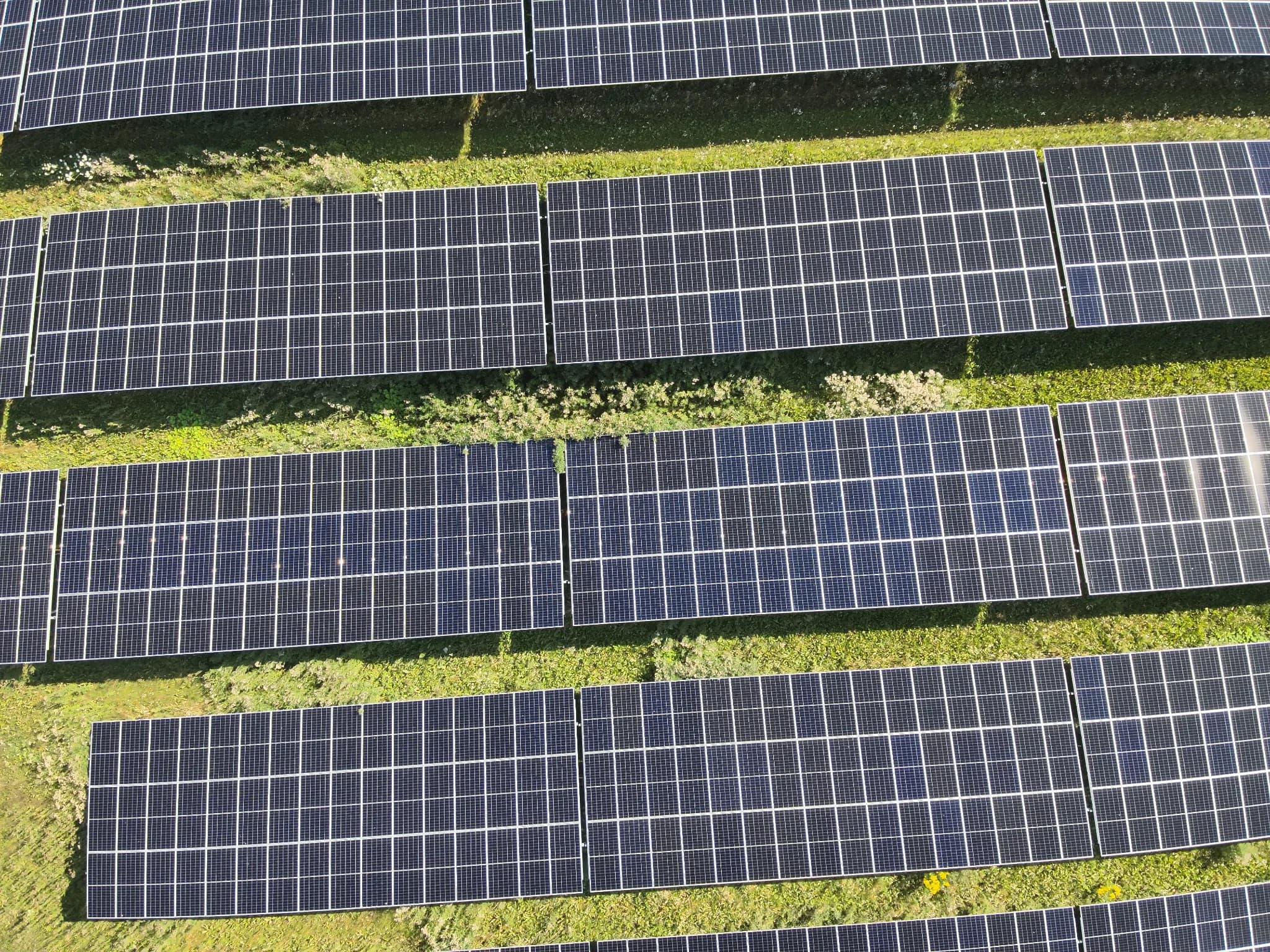 Aerial view of solar panel rows separated by green vegetation Aerial view of solar panel rows separated by green vegetation