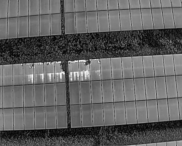 Vista térmica en escala de grises de filas de paneles solares con zonas claras junto a la vegetación Vista térmica en escala de grises de filas de paneles solares con zonas claras junto a la vegetación