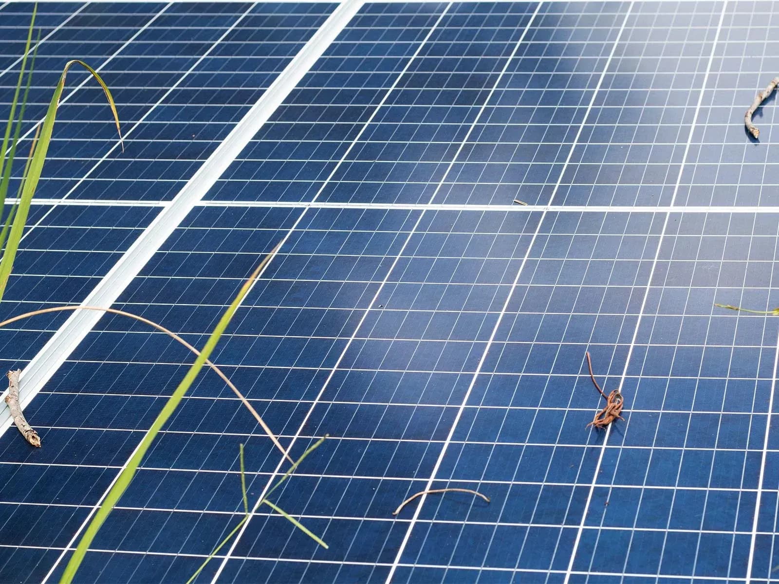 Thermisch beeld van een PV-installatie
