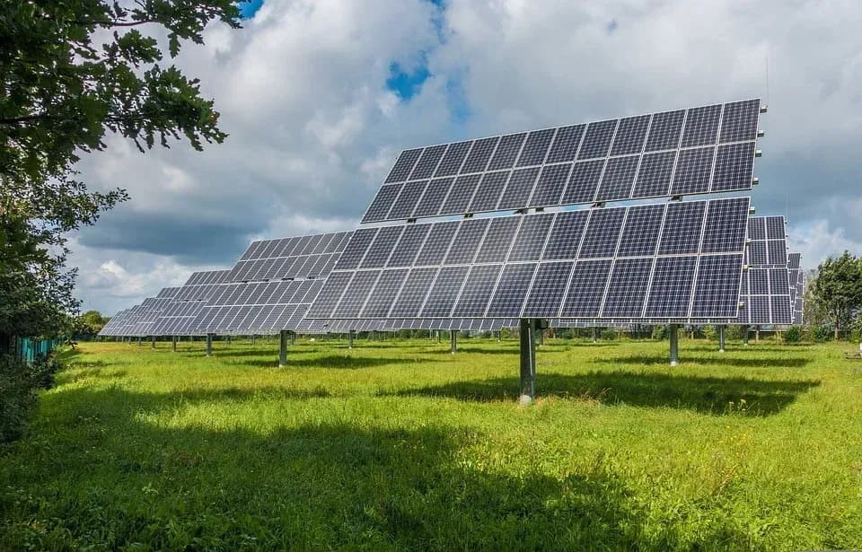 Rijen zonnepanelen met trackers op een grasveld